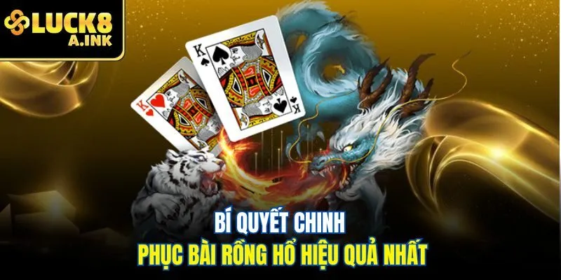 Bí quyết chinh phục bài rồng hổ hiệu quả nhất
