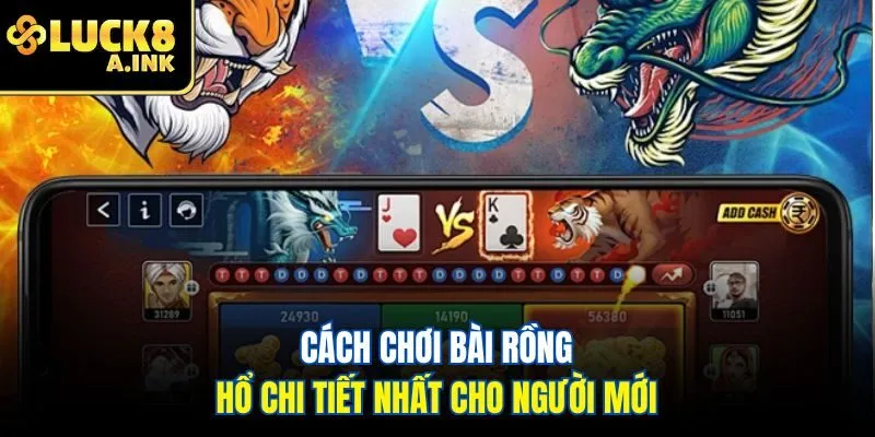 Cách chơi bài rồng hổ chi tiết nhất cho người mới tại Luck8