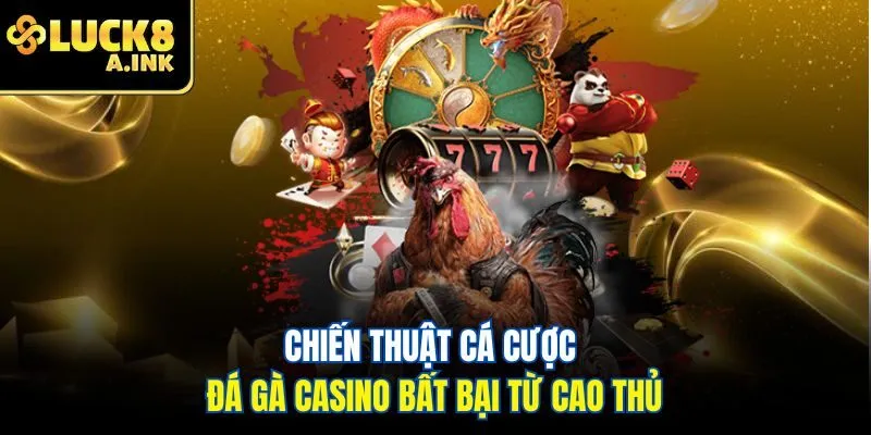Chiến thuật cá cược đá gà casino bất bại từ cao thủ