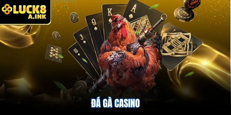 Đá gà casino