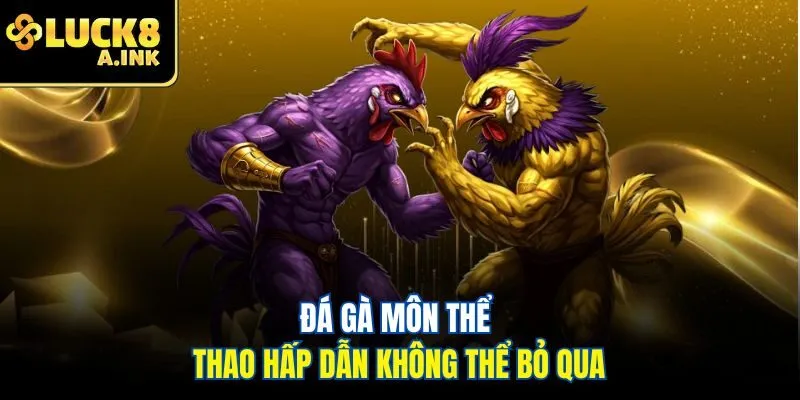 Đá gà môn thể thao hấp dẫn không thể bỏ qua