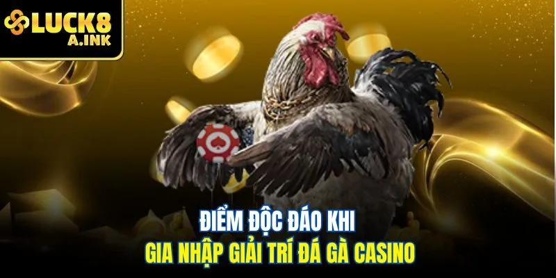 Điểm độc đáo khi gia nhập giải trí đá gà casino