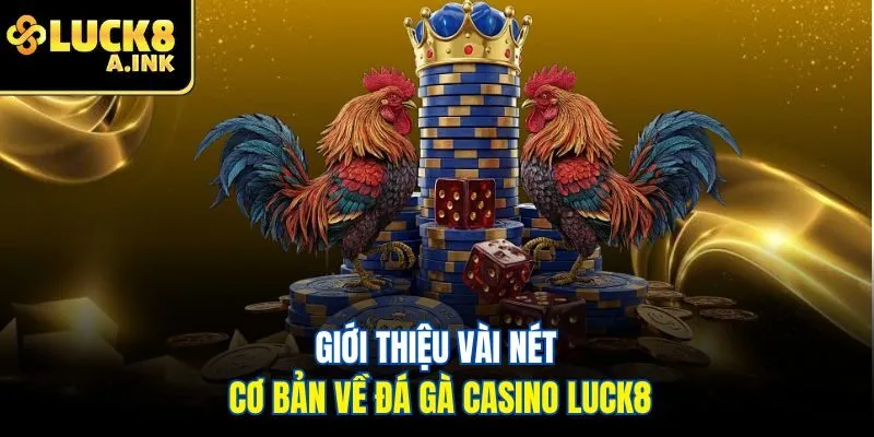 Giới thiệu vài nét cơ bản về đá gà casino Luck8