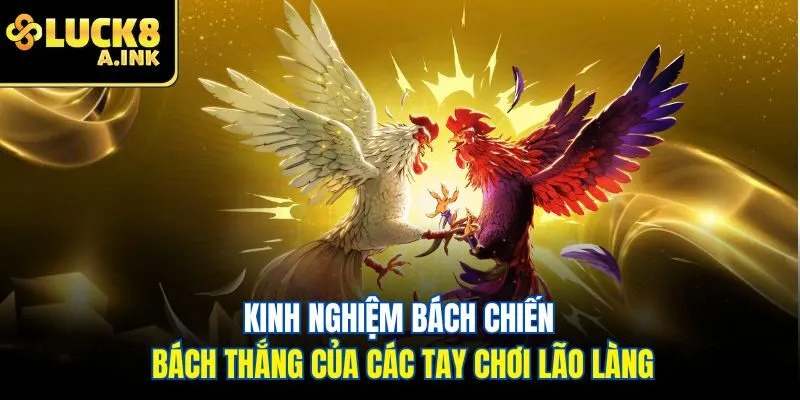 Kinh nghiệm bách chiến bách thắng của các tay chơi lão làng