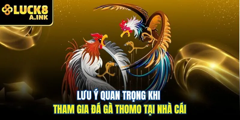 Lưu ý quan trọng khi tham gia đá gà Thomo tại nhà cái