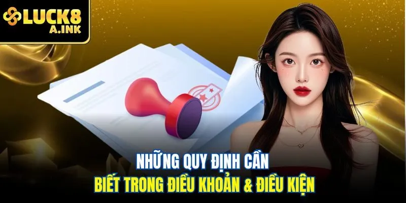 Những quy định cần biết trong điều khoản & điều kiện