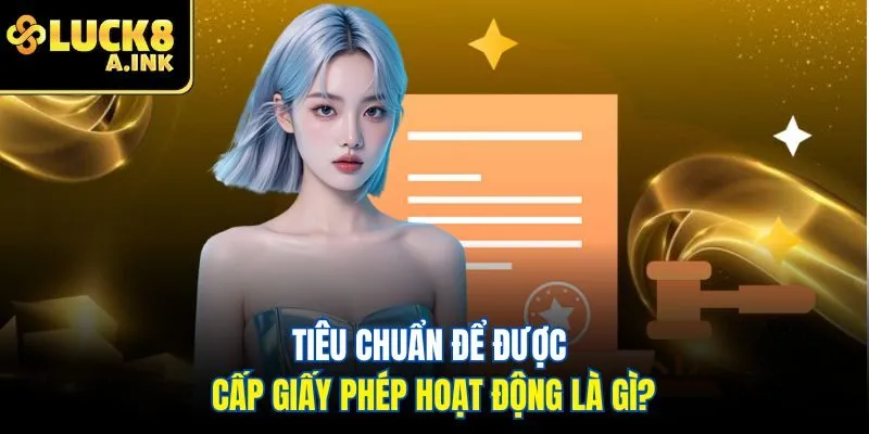 Tiêu chuẩn để được cấp giấy phép hoạt động là gì?