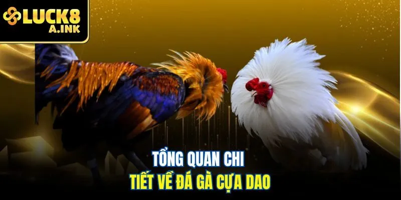 Tổng quan chi tiết về đá gà cựa dao