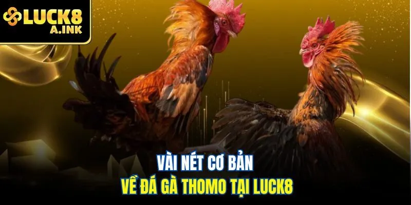 Vài nét cơ bản về đá gà Thomo tại Luck8