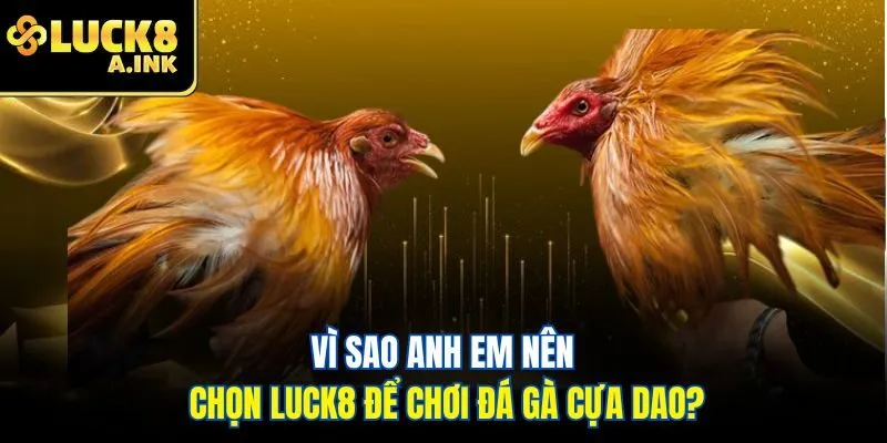 Vì sao anh em nên chọn Luck8 để chơi đá gà cựa dao?